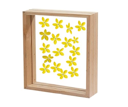 Image of Desi Rang Wooden Square Frame For Wall Decor Table Top Hanging Any Green Or Dry Plant Leaf Picture Photo DIY Gift Home Decoration (Natural,Sqr,12X12 Inch,With Yellow Flower)