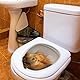 Jowxsx Gelb 3D Eichhörnchen Toilettensitz Aufkleber - 3D Eichhörnchen Toilettensitz Aufkleber, Eichhörnchen Toilettendeckel Aufkleber Toilettendeckel Badezimmer WC Aufkleber Lustiger Toilettendeckel