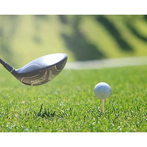 Juvale 300 Pack Tall Wooden 2-3/4 Long Bamboo Golf Tees For Golfing Practice, Sports Tournaments (2.75 In) #TOP1