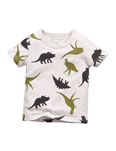 Warmbaby Dinosaur Shirts Kids Toddler Boy Short Sleeve T Shirt Gray 4T