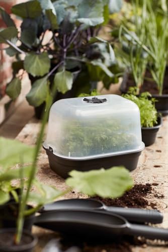 elho Green Basics Grow Tray 24 - Accessory for Indoor, Outdoor, Grow Your Own & Accessories - Ø 24.0 x H 6.0 cm - Black/Living Black - Image 6
