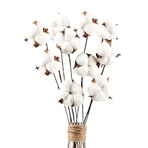 10 stuks katoenen decoratie, natuurlijk gedroogd katoen, gedroogde bloemen, decoratie, decoratie voor de perfecte bruiloft, bloemenarrangementen, thuisdecoratie, doe-het-zelf decoratie, thuisfeest