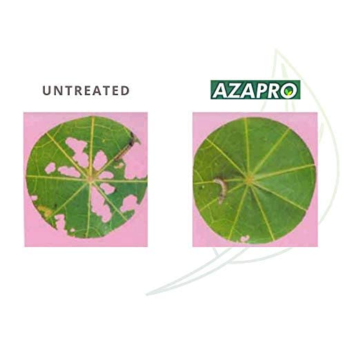 Miniatura 6 de Azapro - Insecticida botánico - Manejo de plagas y control de crecimiento concentrado para jardinería orgánica (2.5 galones)