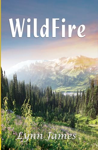 Wildfire view 2