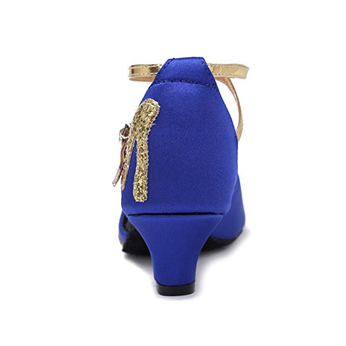 HIPPOSEUS Girls' and Women's Latin Dance Shoes Satin Low Heel Ballroom Salsa Dancing Shoes,Model WZJ3