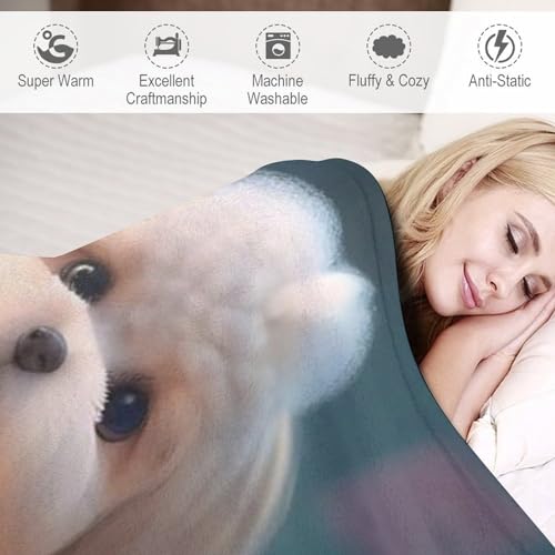 Couverture chien douce plaid chaud anti-froid pour canapé lit - 4