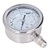 Hyuduo YN-60 Glycerin Filled Pressure Gauge, Stainless Steel, 1/4 NPT Thread, 0-10 MPa, Industrial Grade, for Air Water Hydraulic Oil Pressure Measurement