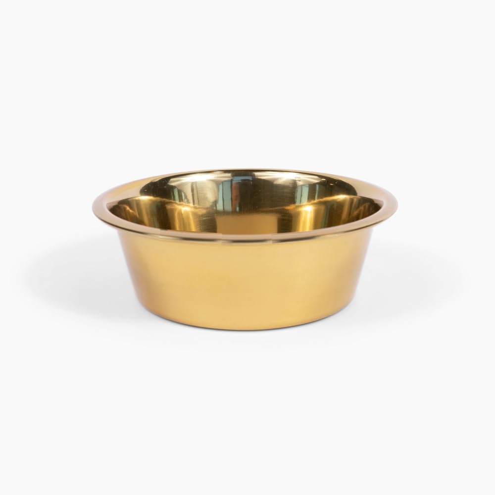Hiddin Double Slanted Elevated Dog Bowl Stand for Medium Dogs, All Breeds, Clear Acrylic 4 to 5 Inches Raised Dog Bowl Stand with Two Gold Stainless Steel Bowls for Food and Water - 3.5 Cups Each Dish