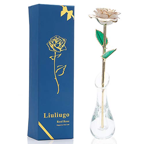 LiuLiugo 24K Gold Rose Dipped Rose Gold Plated Rose with Transparent vase