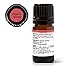 Plant Therapy Vetiver Organic Essential Oil 5 mL (1/6 oz) Pure, Undiluted, Therapeutic Grade