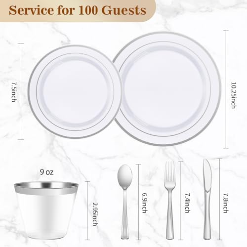 BESTVIP 600PCS Silver Dinnerware Set for 100 Guests, Plastic Plates for Party, 100 Silver Disposable Plates, 100 Dessert Plates, 100 Cups, 100 Spoons, 100 Forks and 100 Knives