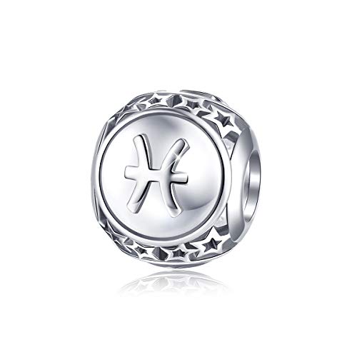 FOREVER QUEEN 12 Costellazioni Bead Charm,Argento Sterling 925 Ciondoli con Motivo di Segno Zodiacale Charming Beads,Stile Vintage Ciondolo,Adatti per Braccialetti,DIY