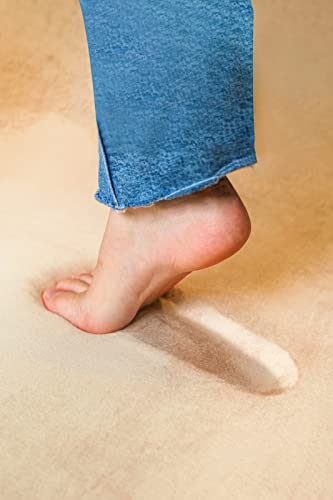 ホビナビ カーペット ラグ ラグマット 絨毯 低反発 185×240 洗える 滑り止め 厚手 撥水 防ダニ 抗菌 床暖房 ホットカーペット対応 子供部屋 3畳 rgcp003-bge