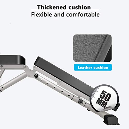 COLOM Strength Training Gym Folding Weight Bench, Adjustable Weight Lifting Bench for Full Body Workout, Home Gym Physionics Incline Decline Bench for Lifting Fitness Bench Press Bar and Weights