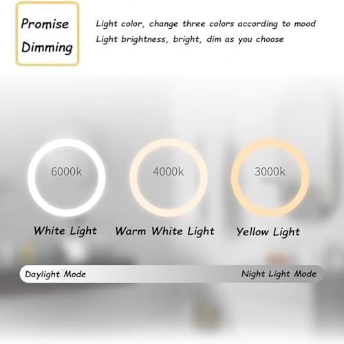 Modern Frameless Bathroom Mirror with LED Lights, Tri-Color Dimming, Touch Switch, Smart Decorative Mirror, Available Sizes: 35"-51" (Left Semicircle, 100x70cm)