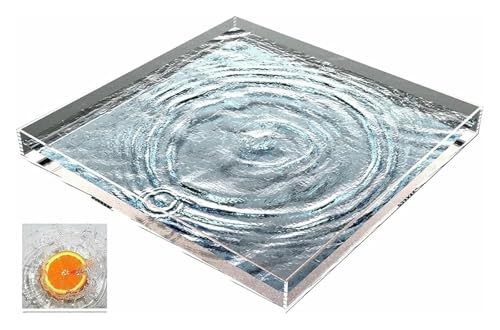 Réservoir d'eau peu profond transparent et boîte pour aliments - 2