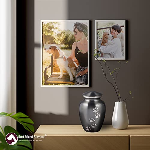 Best Friend Services Pet Urn - Ottillie Paws Legacy Memorial Pet Cremation Urns For Dogs And Cats Ashes Hand Carved Brass Memory Keepsake Urn (Slate, Vertical, Pewter, Large) #TOP6