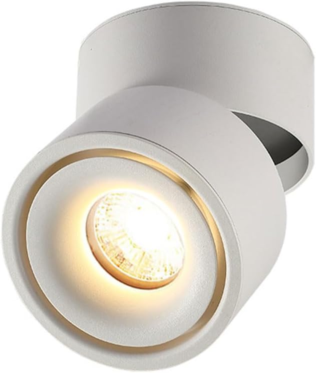 LED Ceiling Spotlight Adjustable Ceilng Spot Lighting Fixture Directional Ceiling Lamp Gallery Picture Lights Artwork Display Lamps Living Room Hallway Ceiling Spotlights