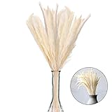 30 in 1 Paket:Paket beinhaltet 30 stück natürliche kleines pampasgras,es gesamtlänge von ca. 60 cm auf,Auch einfach mit einer schere auf die gewünschte länge zuschneiden.