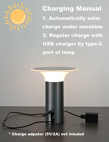 Weilailux Stylish Solar Table Lamp, Cordless Table Lamp Rechargeable, Touch Dimmable Portable Night Light For Home Bedroom Outdoor Patio Camping Reading Dining, Usb Charging (Grey) #TOP3