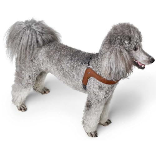 Hunter Hundegeschirr DIMARO, Farbe: Cognac, weiches & Robustes Rindsleder, hervorragende Passform, leicht anzulegen, stufenlos verstellbar, ideal für Welpen & kopfscheue Hunde, Größe: S-M