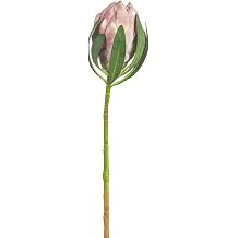 18.5in Artificial Protea Flower Bud Stem -Light Pink Pack of 12