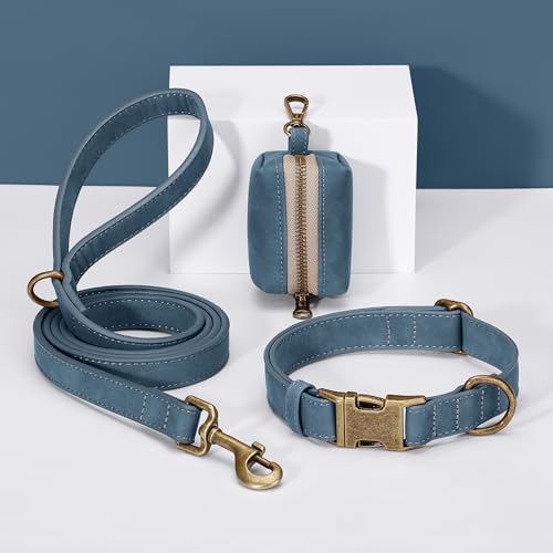 Didog Hundehalsband aus weichem Leder, langlebig, strapazierfähig, mit Schnellverschluss-Metallschnalle, verstellbares Hundehalsband aus Leder für mittelgroße und kleine Hunde, Blau, M