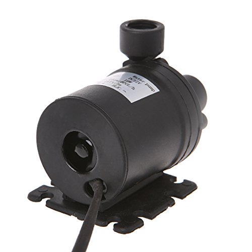 Siwetg Pompa Acqua 800 l/h, 5 m, DC 12 V, Motore