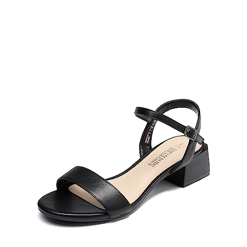 DREAM PAIRS Women's Low Heels for Women Classic Open Toe Ankle Strap Block Chunky Heel Sandals Holiday Party Wedding Dress Pumps Shoes 6 Black-pu