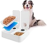 ALL FOR PAWS