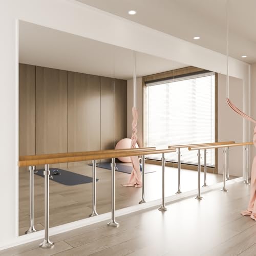 Smart mirror fitness system