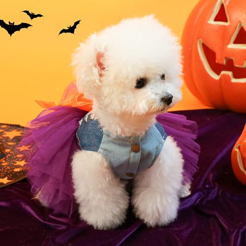 Vestido disfraz de Halloween para perro pequeño morado miniatura 6