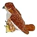 Wild Republic Red Tailed Hawk Plush, Stuffed Animal, Plush Toy, Gifts Kids, Cuddlekins, 12 Inches