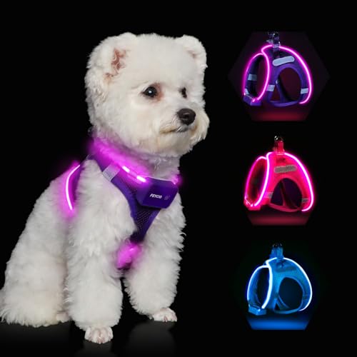 Feycig Light Up Harness