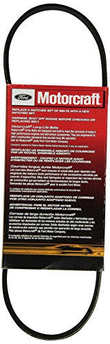 Motorcraft JK3262 V-Ribbed Belt