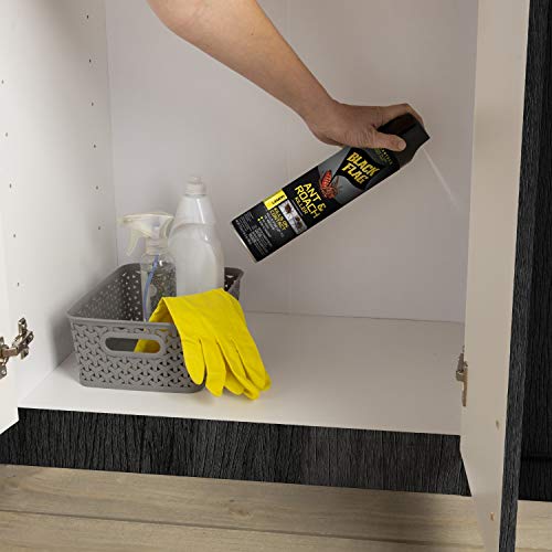 Black Flag Ant And Roach Killer 17.5 Ounces, Aerosol Spray, Spring Fresh Scent #TOP4