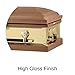 Titan Casket Reflections Series Steel Casket (Copper) Handcrafted Funeral Casket with Reflective Panel - Copper Finish with Rosetan Crepe Interior