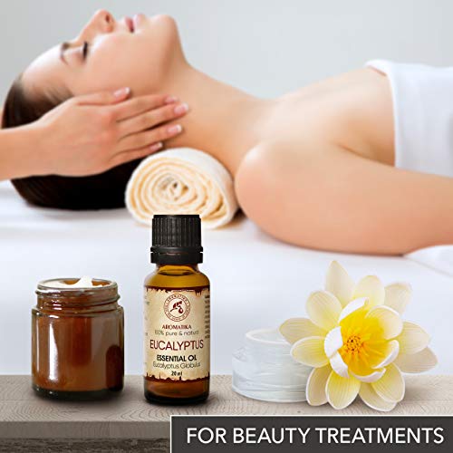 Eucalyptus olie - etherische olie 20ml, 100% puur & natuurlijk, essentiële olie - aromatherapie - geurolie… - Image 7