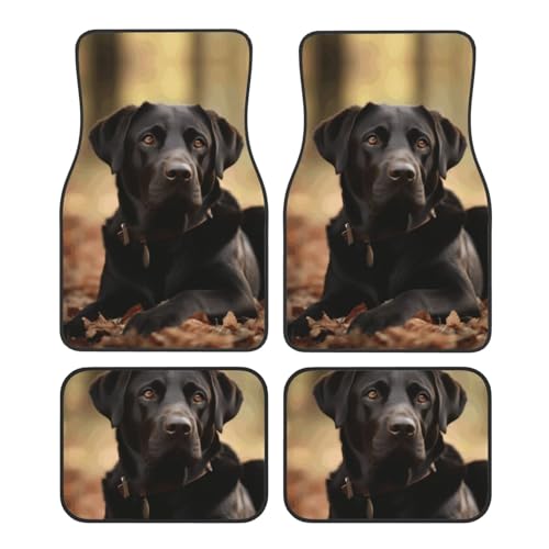Alfombrillas de coche antideslizantes para Labrador que evitan manchas en el suelo