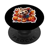 Photo Gallery autunno autunno norwich terrier proprietario cane amante zucca vintage popsockets popgrip adesivo Photo Gallery autunno autunno norwich terrier proprietario cane amante zucca vintage popsockets popgrip adesivo