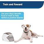 Treat&Train - Remote Treat Dispensing Dog Training System, Positive Reinforcement, Calm Behavior, Distraction Avoidance, Includes Instruction Booklet, Target Wand & Remote, for Dogs 6 Months & Up - Image 2