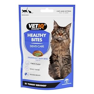 VetIQ Healthy Bites Breath & Dental Cat Treats, 4x 65g, Cat Dental Care Helps Prevent Plaque & Tartar Build Up, Cat Supplement with Vitamins & Minerals, Bad Breath Remedy For Cat & Kitten Health