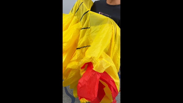 Costume Gonfiabile Patatine Fritte E Hamburger | Per Adulti Unisex | Carnevale Halloween Festa