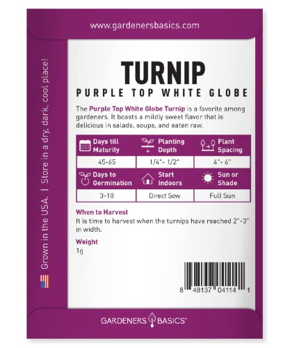 Gardeners Basics, Turnip Seeds for Planting (Purple White Top Globe) Heirloom, Non-GMO Vegetable Variety- 1 Gram Seeds Great for Summer, Fall and Winter Gardens - Thumbnail 2