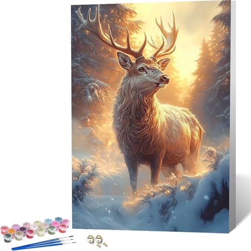 �������G �� Paint by Numbers ���� �y�C���g�o�C�i���o�[, ��l�p�����h��G�L�����o�X�N���t�g �u���V�ƃA�N�����G�̋��, �I�t�B�X �C���e���A ���r���O����, �����ւ̃M�t�g 30x40CM -zjn2604MC