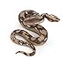 Fantarea Simulation Realistic Wild Life Python Snake Jungle Animal Action Figures Model Figurine Desktop Decoration Collection Party Supplies Cognitive Toys for Boys Girls Kid Toddlers