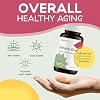 Brightcore Nutrition - Kimchi One, Kimchi Powder Capsules, Probiotics, Enzymes, Antioxidant Supplement, Premium Gut Health Superfood for Overall Well Being, Gluten-Free, 90 Vegan Capsules