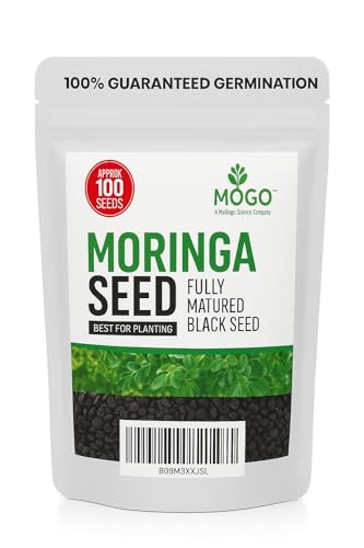100 Moringa Seeds Approx | Moringa Seeds for Planting | Excellent Germination | Premium Grade PKM1 | Semillas de Moringaa Seed | Malunggay