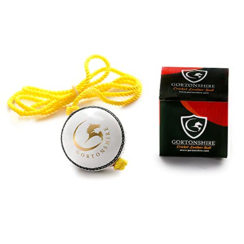 GORTONSHIRE Cricket Leather Hanging Ball (White) (B09371KWMF) Amazon Price History, Amazon Price Tracker