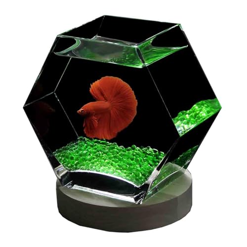 大きなガラス器★ガラス&アイアン★メダカ 金魚鉢 金魚鉢 ガラス製 天然木 丸型 水槽 メダカ鉢 透明 クリア 丸 鉢